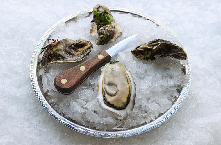 Duxbury Standard Oyster — Oysterology Online Pangea Shellfish Company